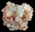 Natural Aragonite Clusters Wholesale Lot - Pieces #61655-2